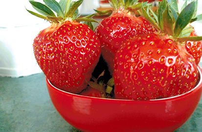gesunder Sommergenuss mit Adlmeier Erdbeeren