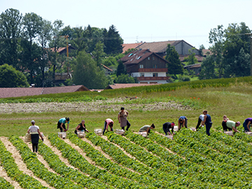 P1010074.jpg