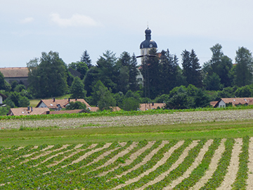 Egmating, Erdbeerfeld vom Adlmeier Erdbeeren im Hintergrund der Ort Egmating mit der Kirche Sankt Johann Baptist und Michael